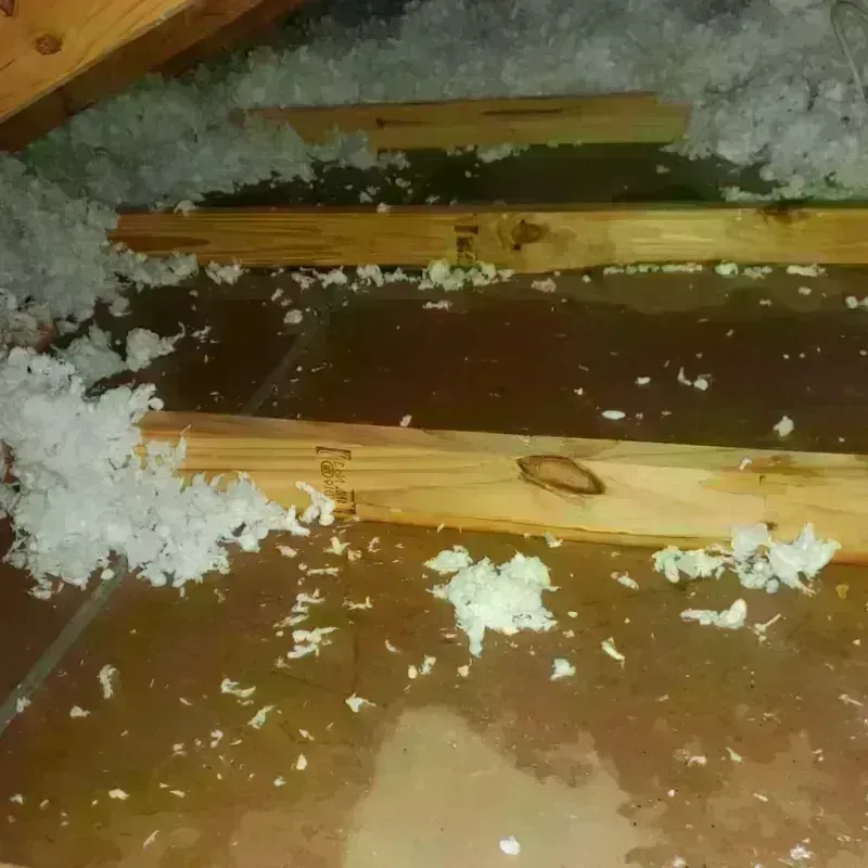 Attic Water Damage in Arlington Heights, WA